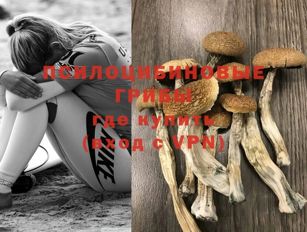 герыч Пересвет