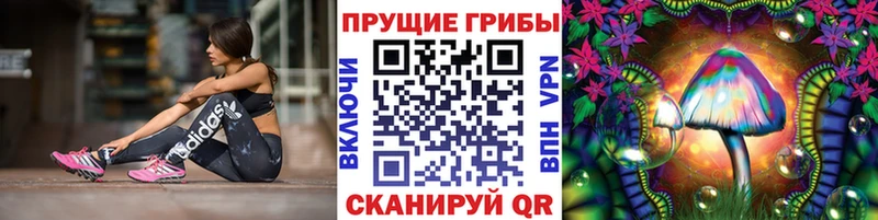 купить наркоту  Павловская  Галлюциногенные грибы прущие грибы 